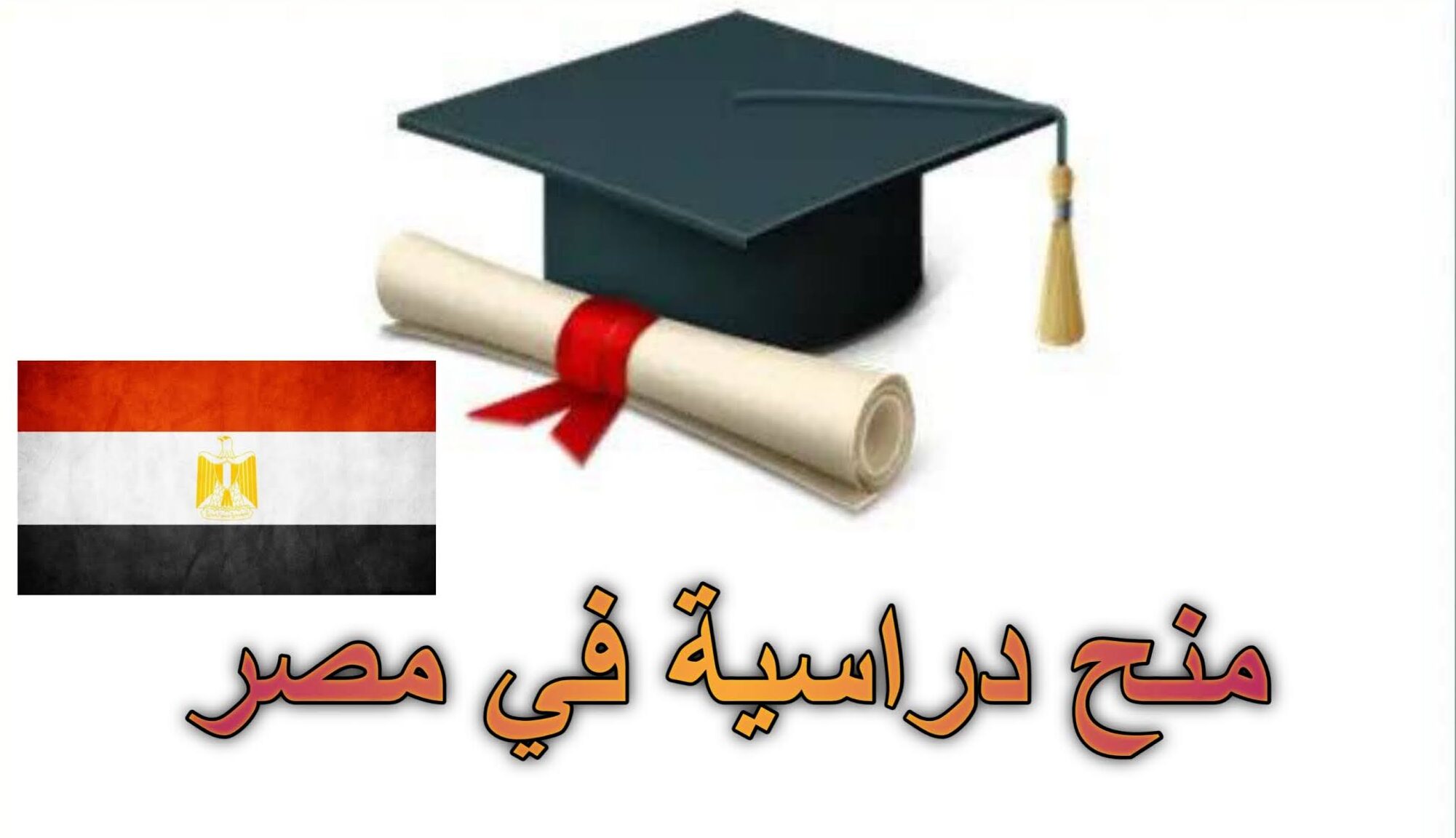 منح دراسية مجانية في مصر