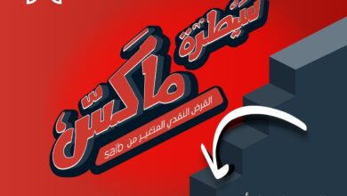 قرض سيطرة ماكس